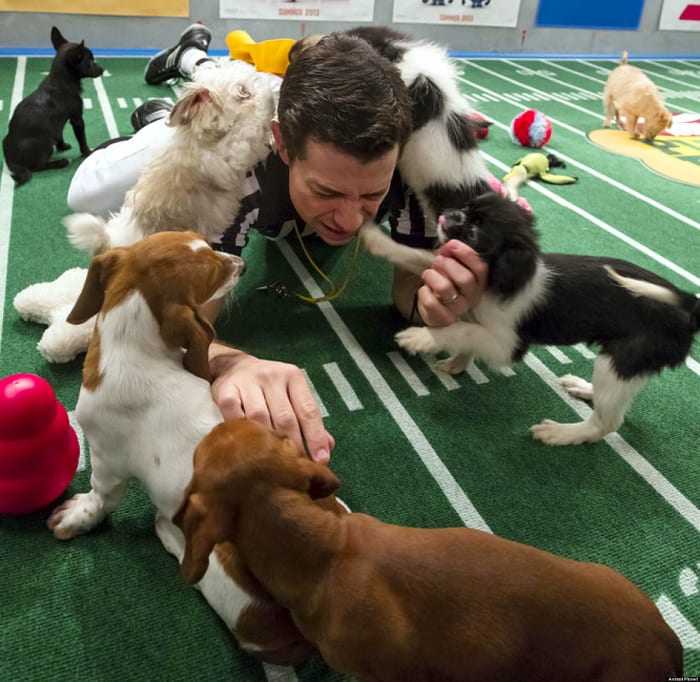 Puppy-Bowl-IX-referee.jpg